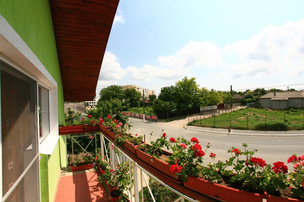Casa Nelu Pescaru Hotel Mahmudia Exterior photo