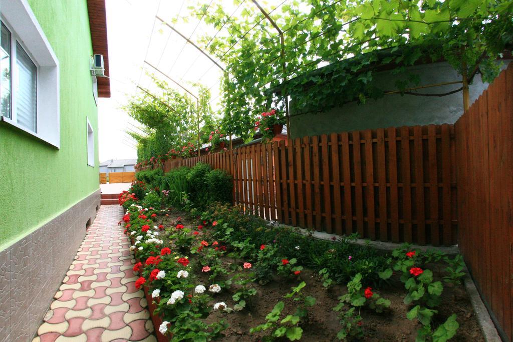 Casa Nelu Pescaru Hotel Mahmudia Exterior photo