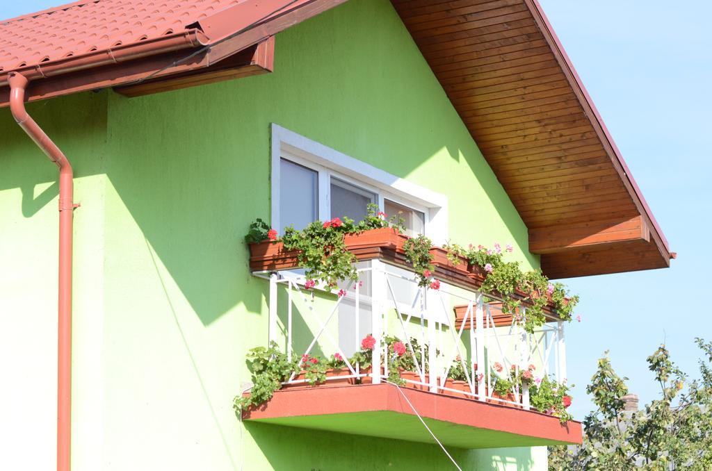 Casa Nelu Pescaru Hotel Mahmudia Exterior photo