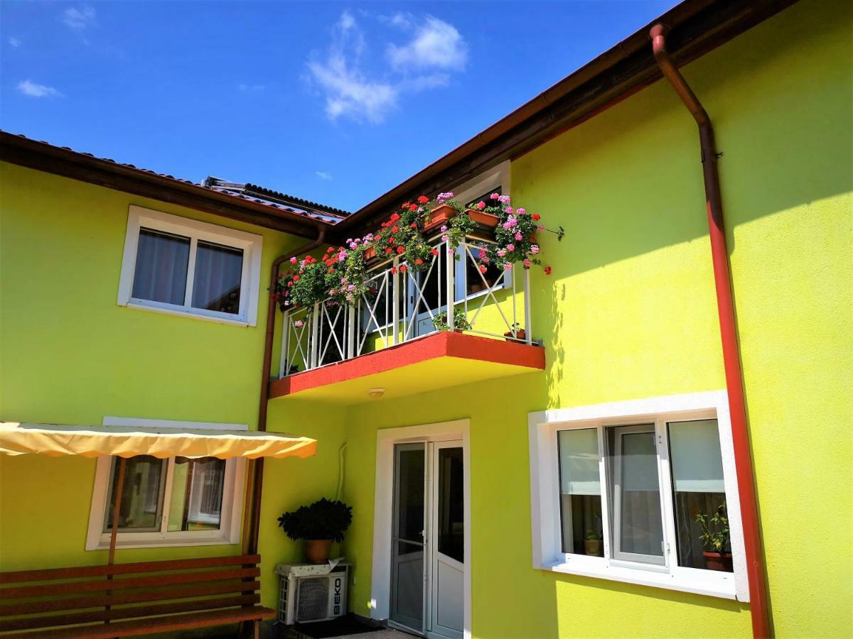 Casa Nelu Pescaru Hotel Mahmudia Exterior photo